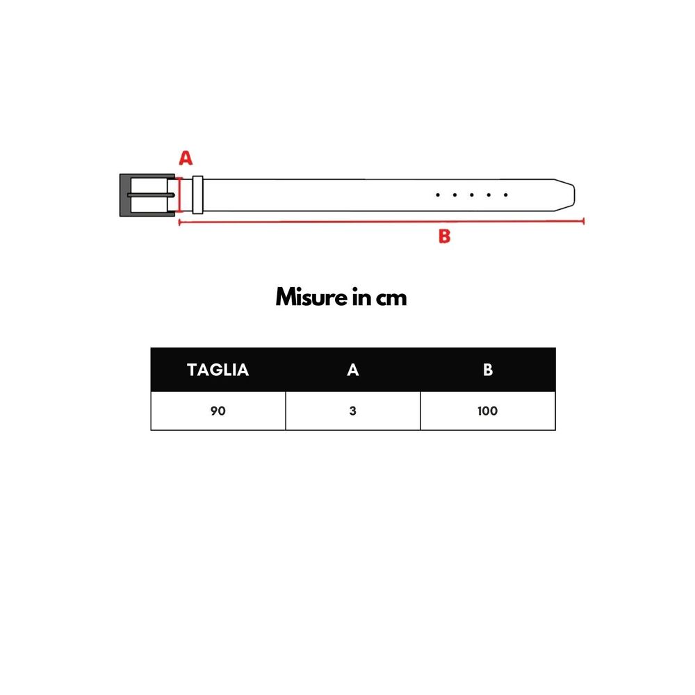 Ceinture en cuir marron Dolce & Gabbana