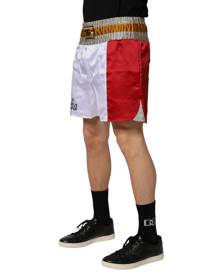 Dolce &amp; Gabbana Multicolor Italia Polyester Bermuda Shorts
