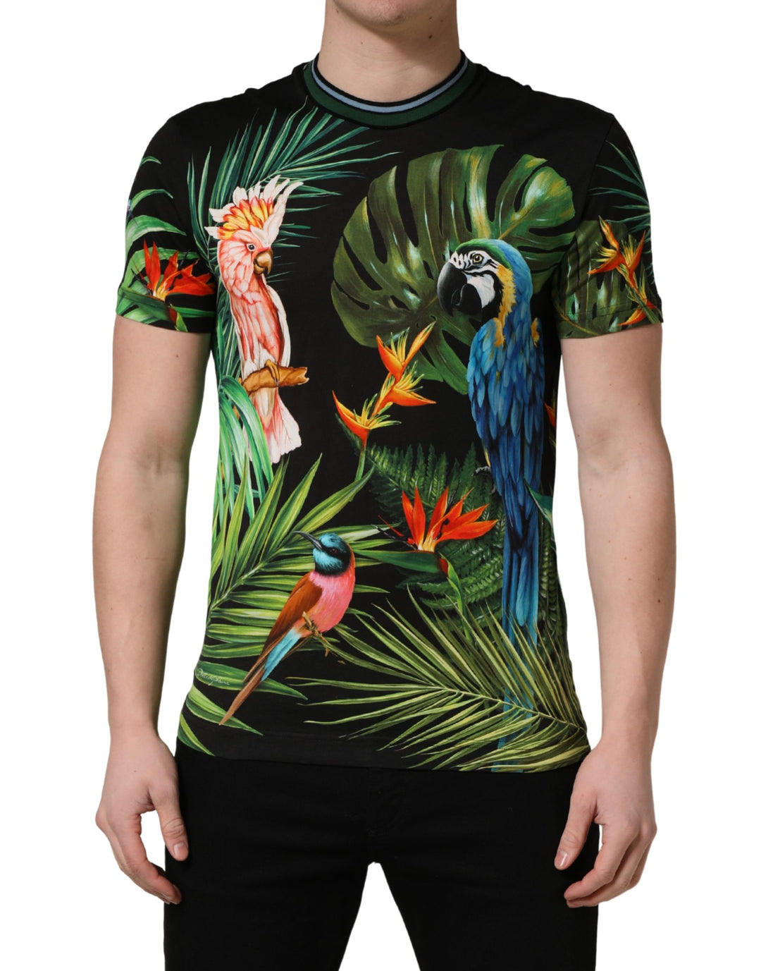 Dolce &amp; Gabbana Black Bird Print Cotton Men Crew Neck T-shirt