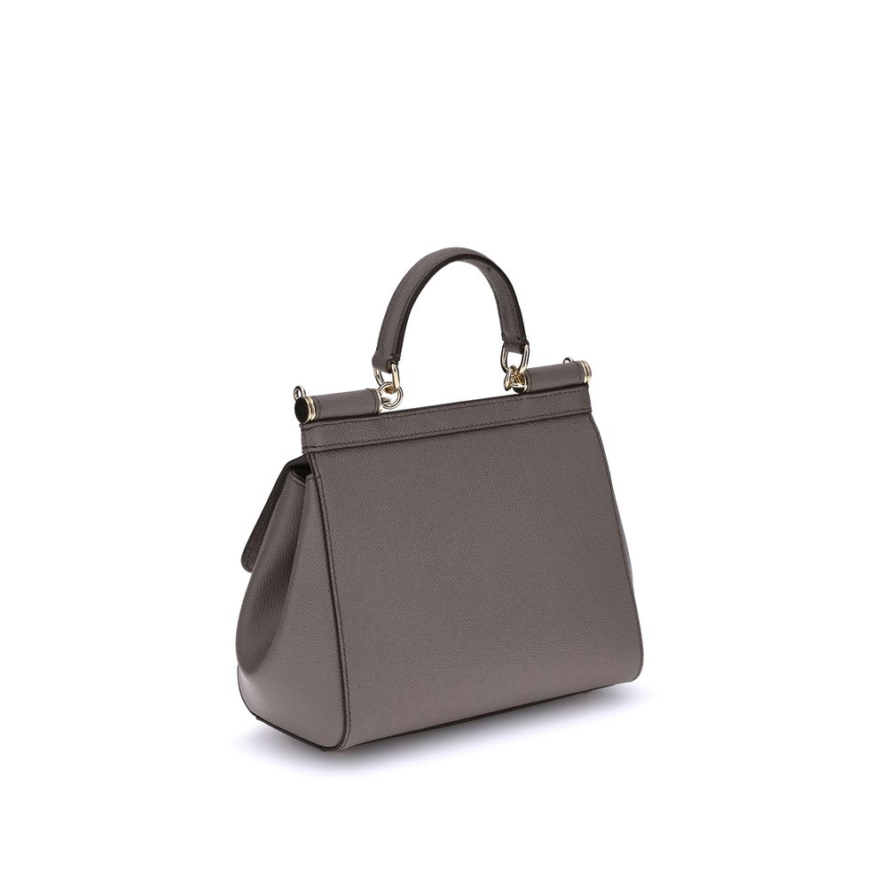 Dolce &amp; Gabbana Gray Calf Leather Bos Taurus Handbag