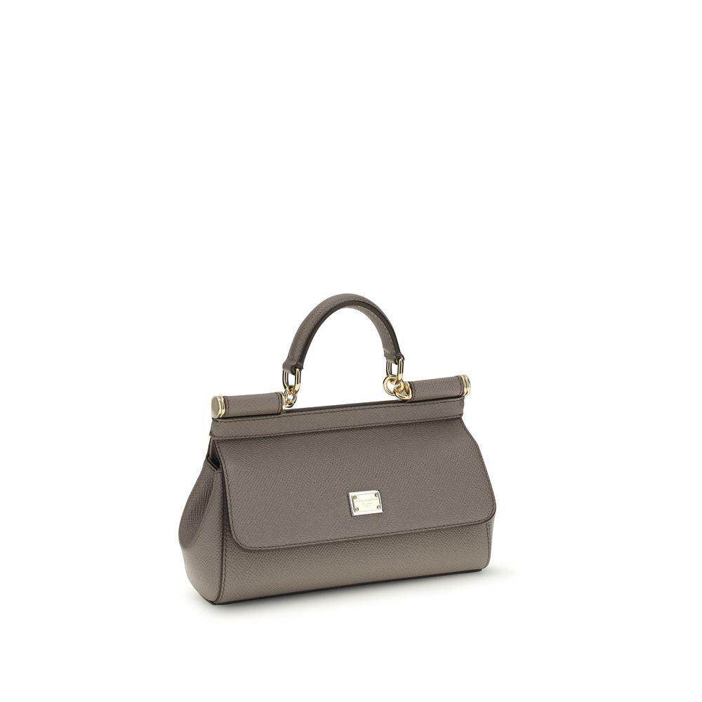 Dolce &amp; Gabbana Gray Calf Leather Bos Taurus Handbag