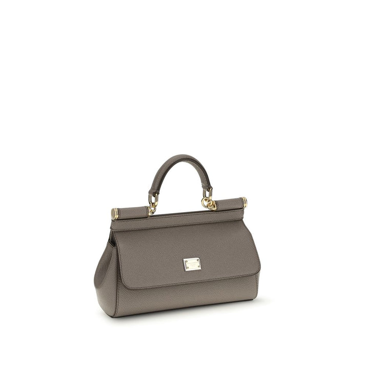 Dolce &amp; Gabbana Gray Calf Leather Bos Taurus Handbag