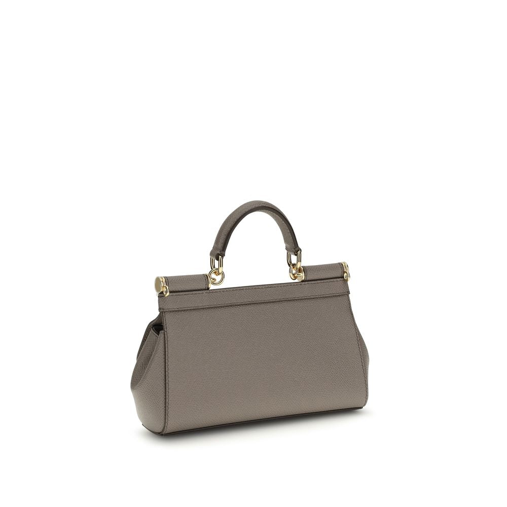 Dolce &amp; Gabbana Gray Calf Leather Bos Taurus Handbag