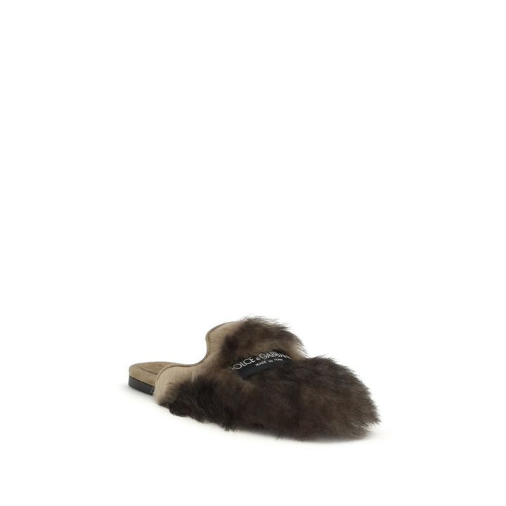 Dolce &amp; Gabbana Gray Lamb Ovis Aries Aries Mules