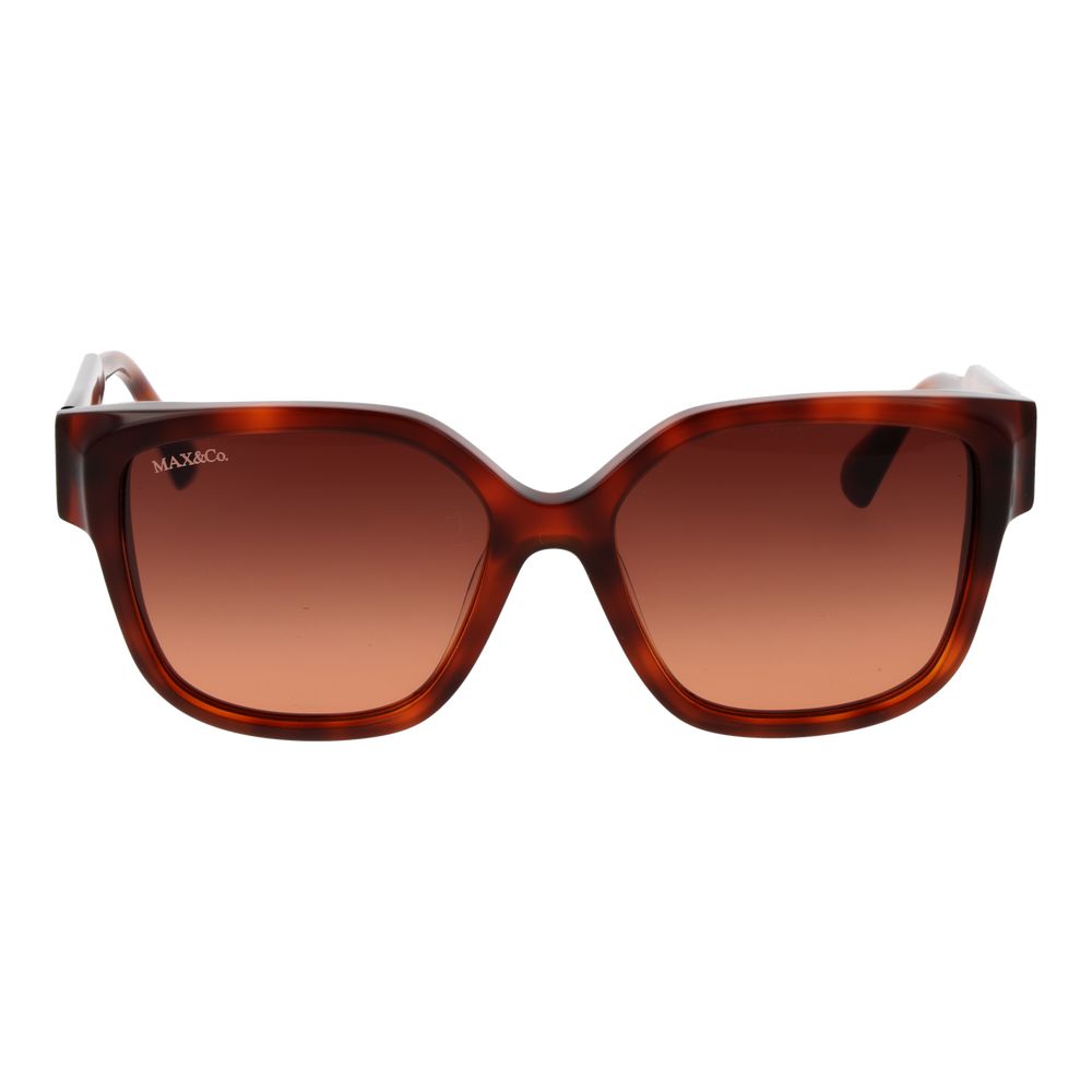 Max &amp; Co Brown Plastic Sunglasses