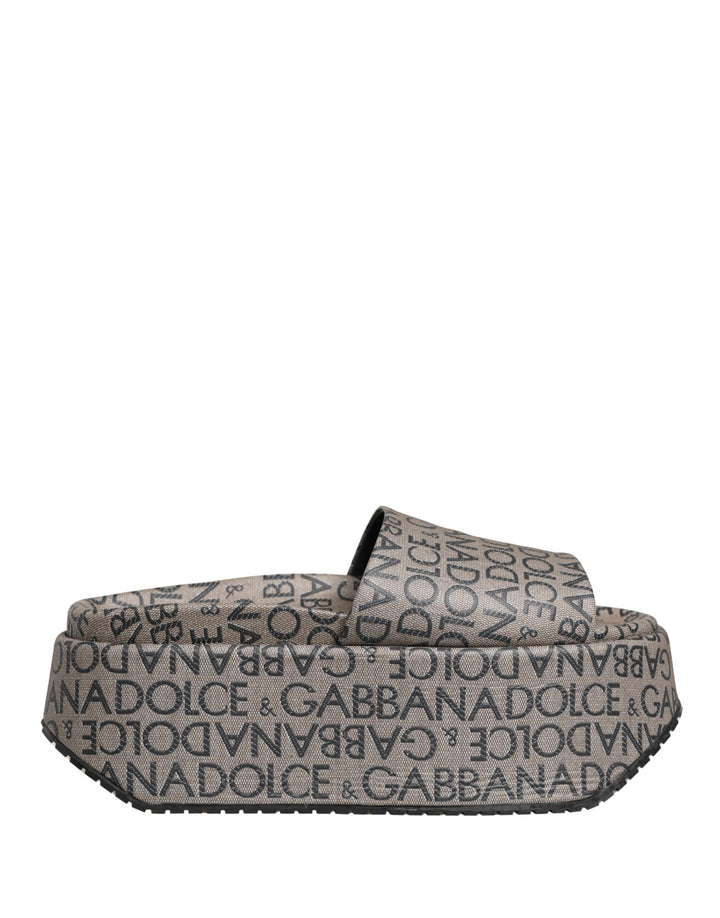 Dolce &amp; Gabbana Gray Leather Monogram Logo Sandals Shoes