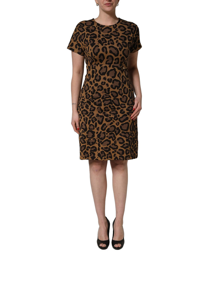 Dolce &amp; Gabbana Brown Leopard Jacquard Knee Length Dress