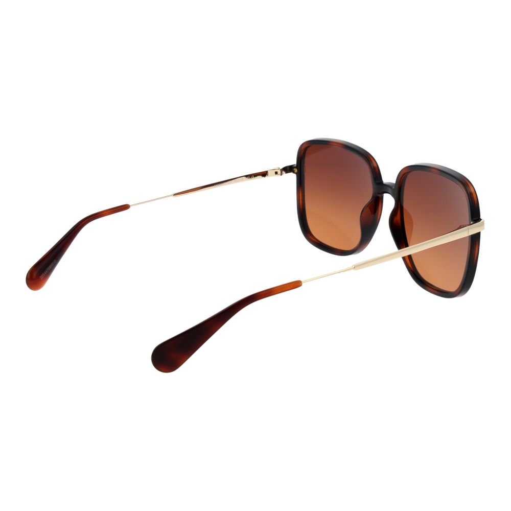 Max &amp; Co Brown Plastic Sunglasses