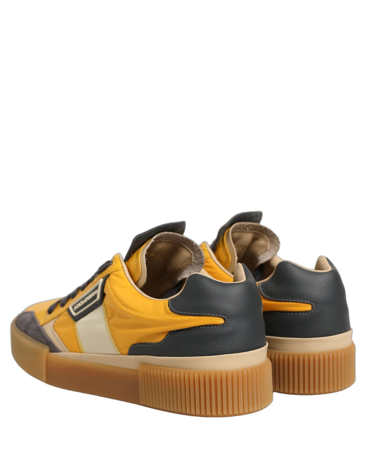 Dolce &amp; Gabbana Multicolor MIAMI Low Top Sneakers Shoes