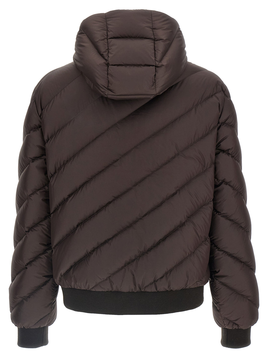 Fendi Multicolor Polyester Shell Jacket