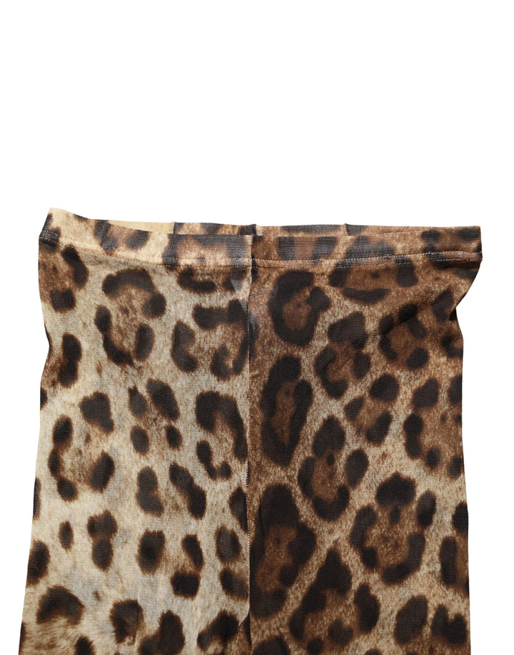 Dolce &amp; Gabbana Brown Leopard Nylon Tights Stocking Pantyhose Socks