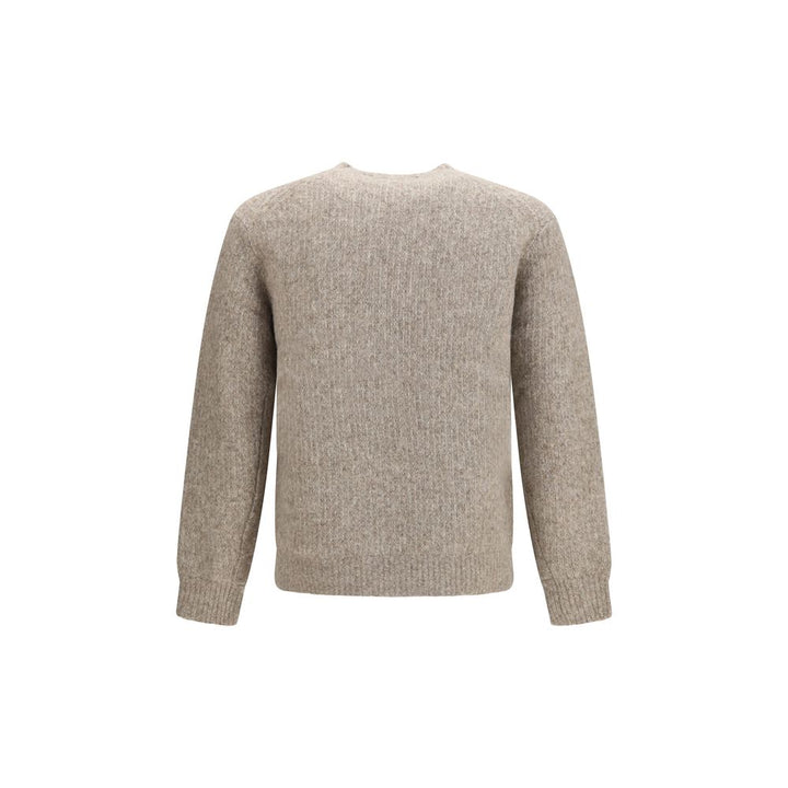 Sunflower Gray Alpaca Vicugna Pacos Sweatshirt
