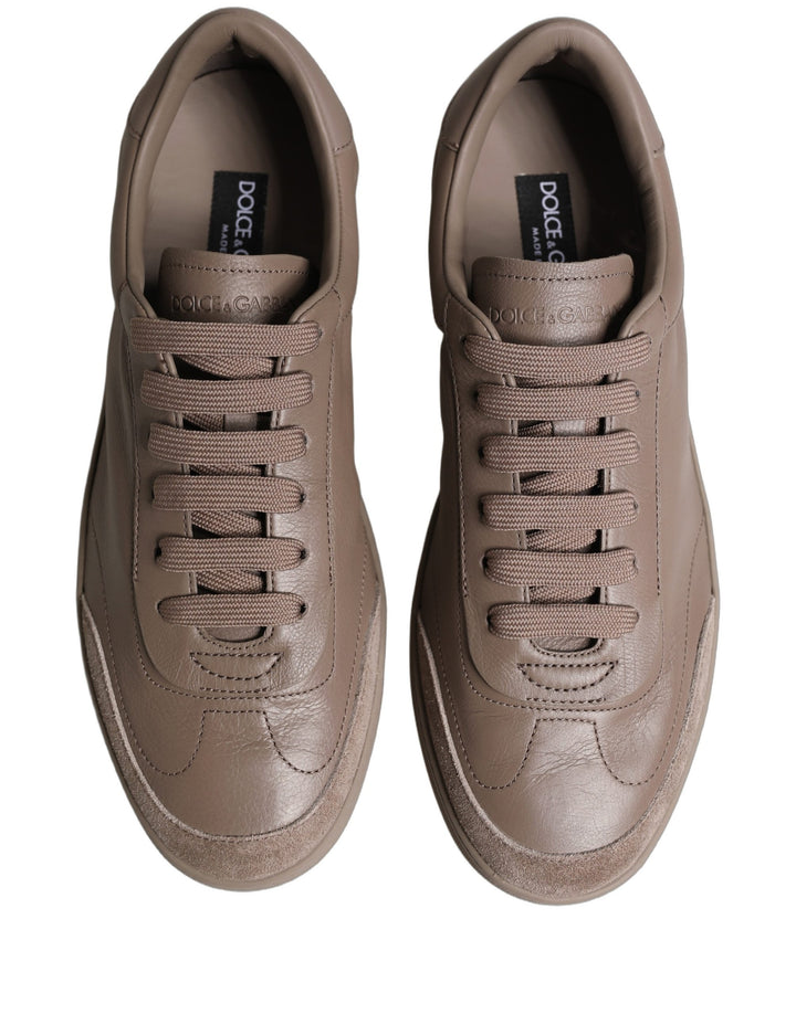 Dolce &amp; Gabbana Taupe Saint Tropez Low Top Sneakers Shoes