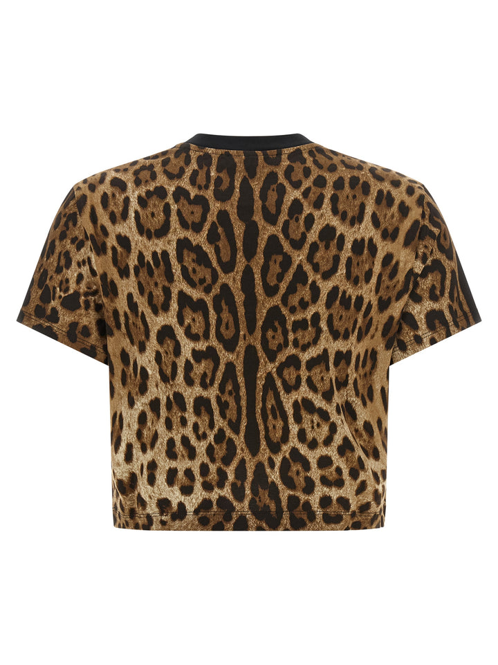 Dolce &amp; Gabbana Brown Cotton T-Shirt