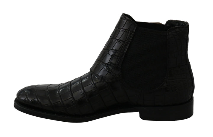 Bottes Derby Brogue élégantes Dolce &amp;amp; Gabbana en cuir exotique