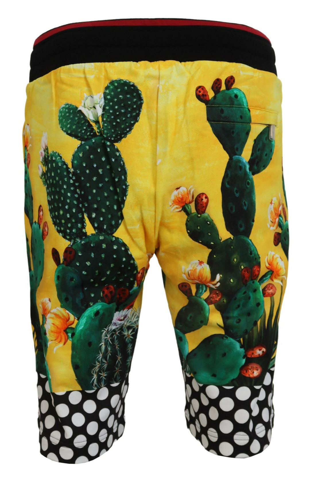 Dolce &amp; Gabbana Multicolor Cactus Print Cotton Sweat Shorts
