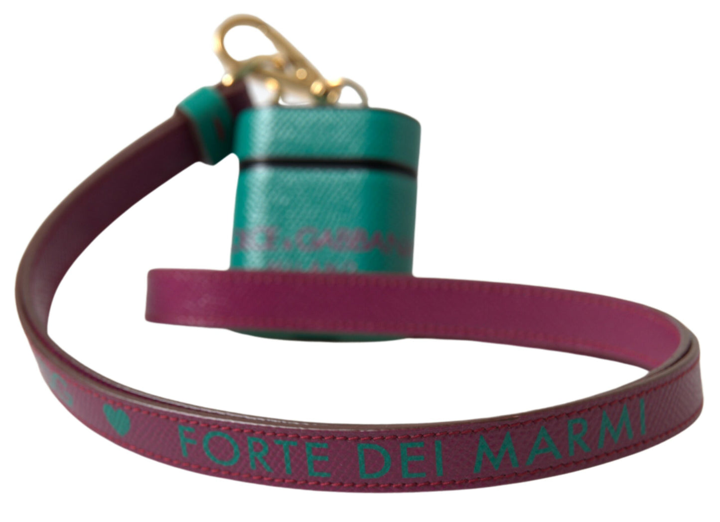 Étui élégant en cuir Dolce &amp; Gabbana pour Airpods, vert et marron