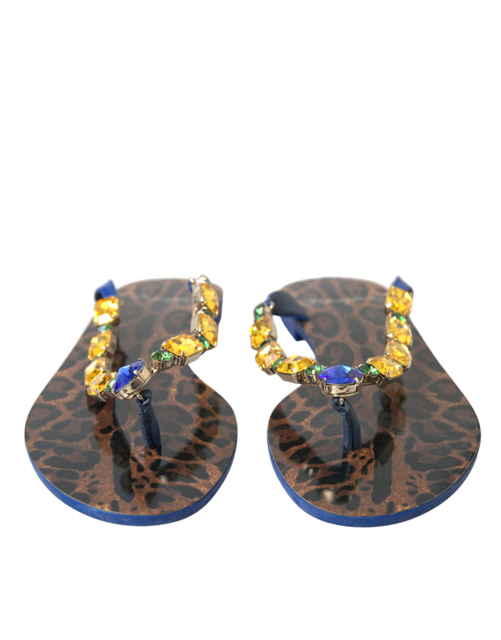 Sandales plates élégantes en cuir bleu Dolce &amp;amp; Gabbana