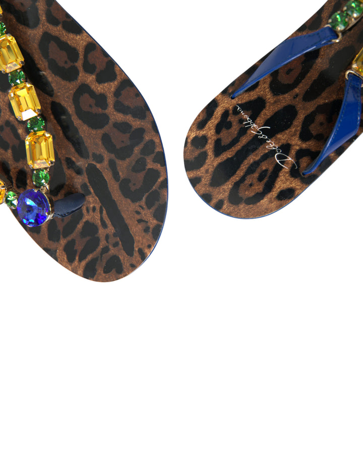Sandales plates élégantes en cuir bleu Dolce &amp;amp; Gabbana