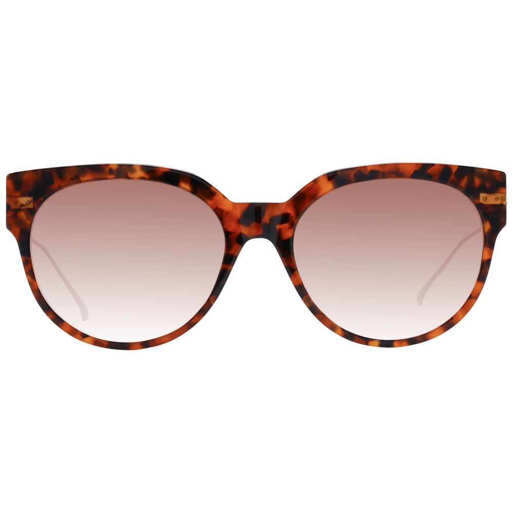 Scotch &amp; Soda Brown Acetate Sunglasses