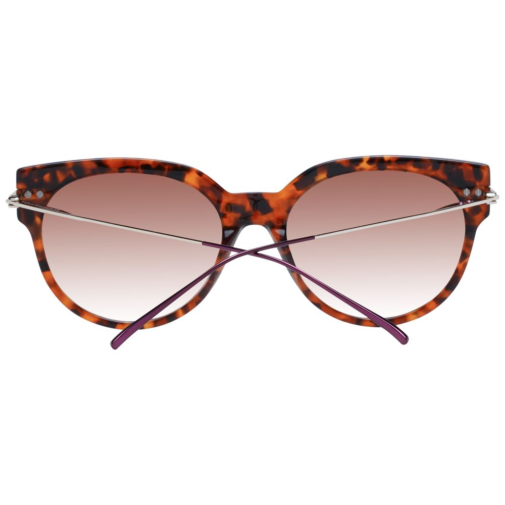 Scotch &amp; Soda Brown Acetate Sunglasses