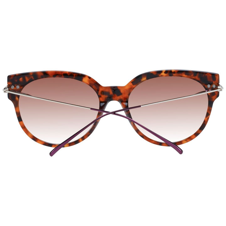Scotch &amp; Soda Brown Acetate Sunglasses