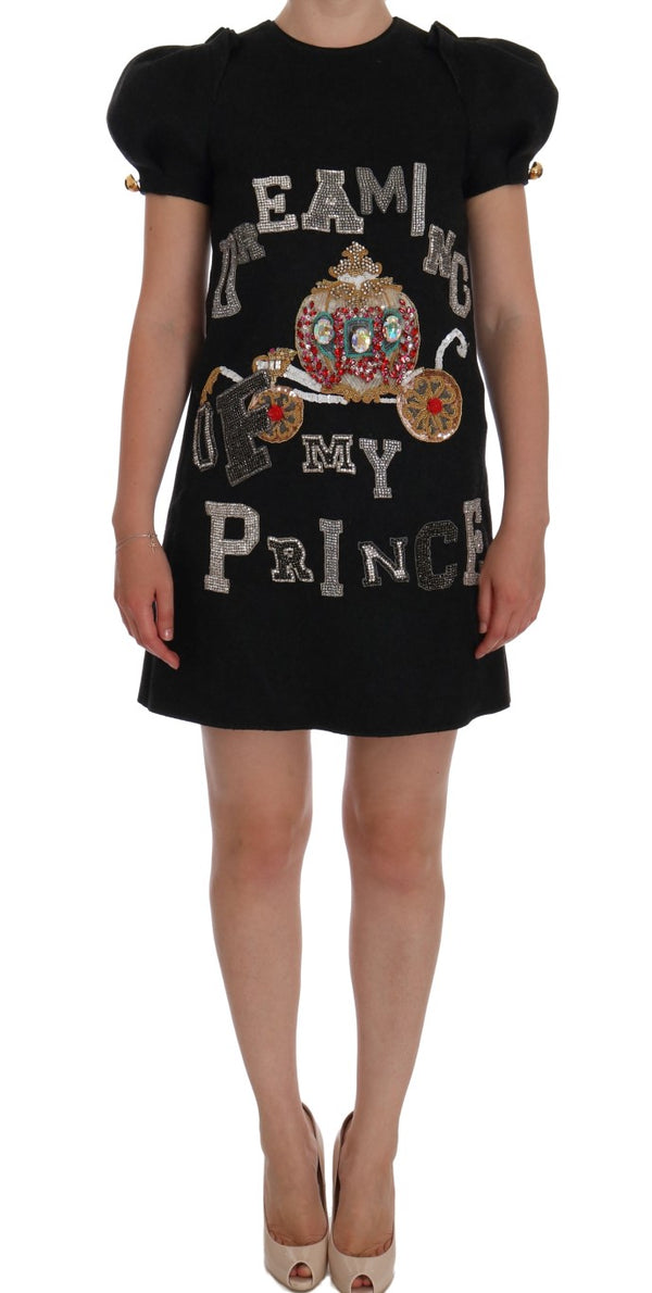 Dolce & Gabbana Gray Crystal ’Dreaming of My Prince’ Dress women’s dress