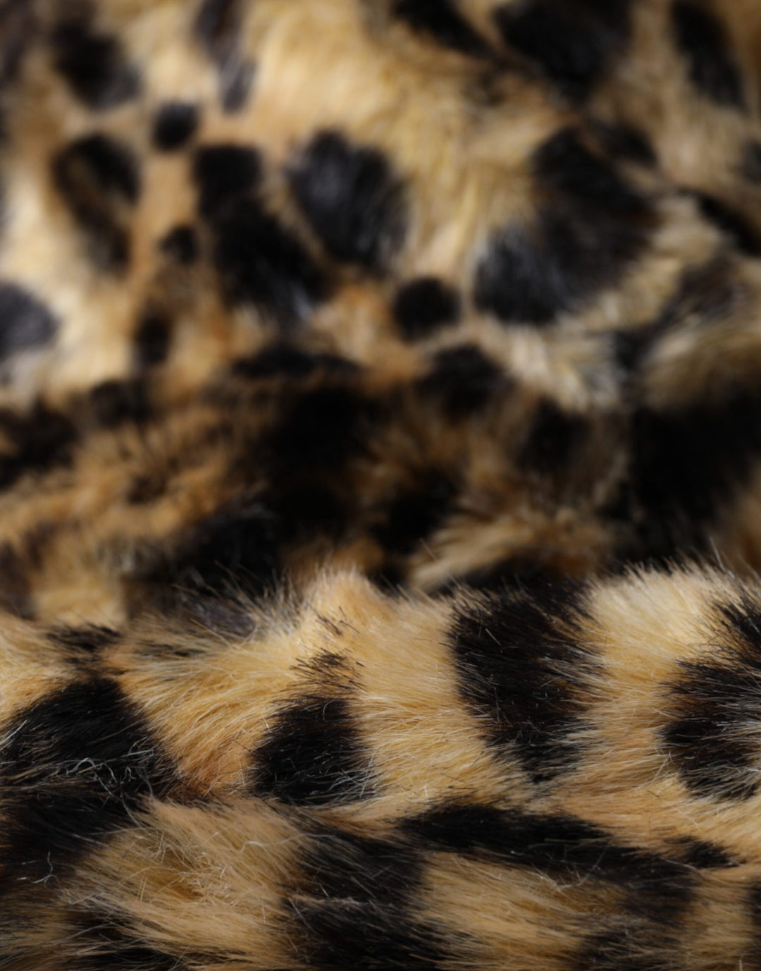 Sombrero de pescador de piel de leopardo marrón para mujer de Dolce &amp;amp; Gabbana