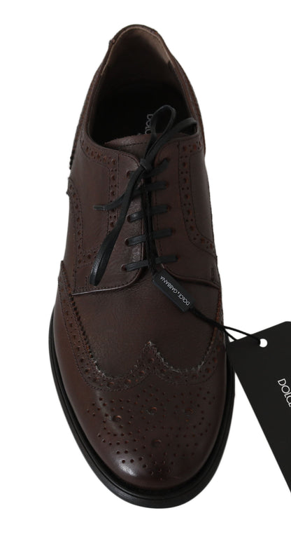 Dolce &amp; Gabbana Élégantes Derby Brogues en Cuir Marron