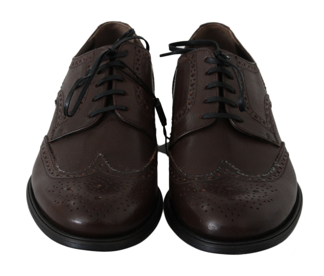 Dolce & Gabbana Brown Leather Brogue Derby Dress Shoes