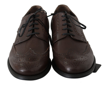 Dolce &amp; Gabbana Élégantes Derby Brogues en Cuir Marron