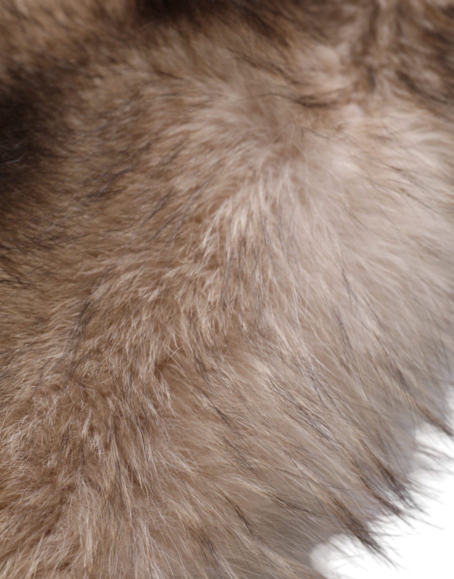 Écharpe d'hiver cache-cou en fourrure de renard marron givré Dolce &amp; Gabbana