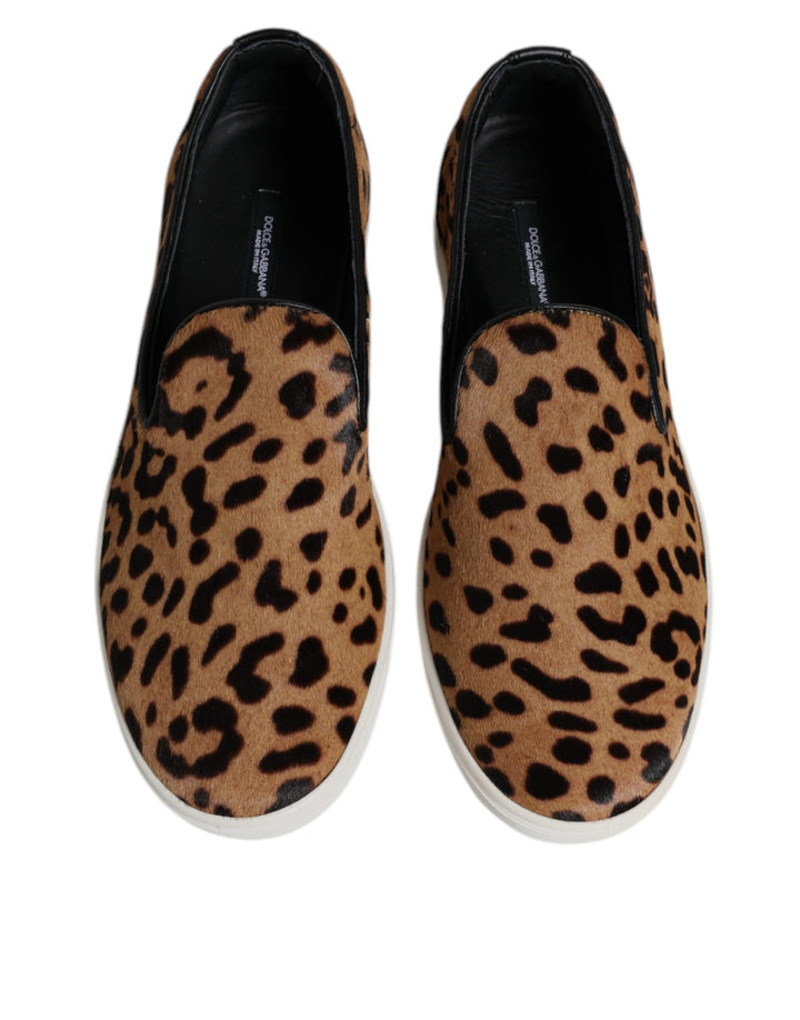 Baskets léopard en cuir de veau marron Dolce &amp;amp; Gabbana