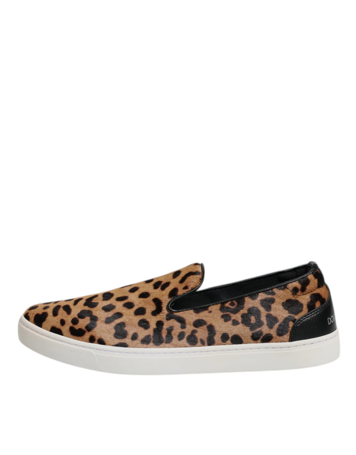 Baskets léopard en cuir de veau marron Dolce &amp;amp; Gabbana