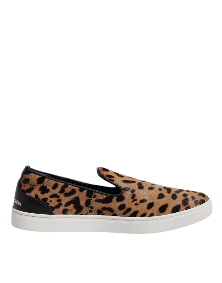 Baskets léopard en cuir de veau marron Dolce &amp;amp; Gabbana