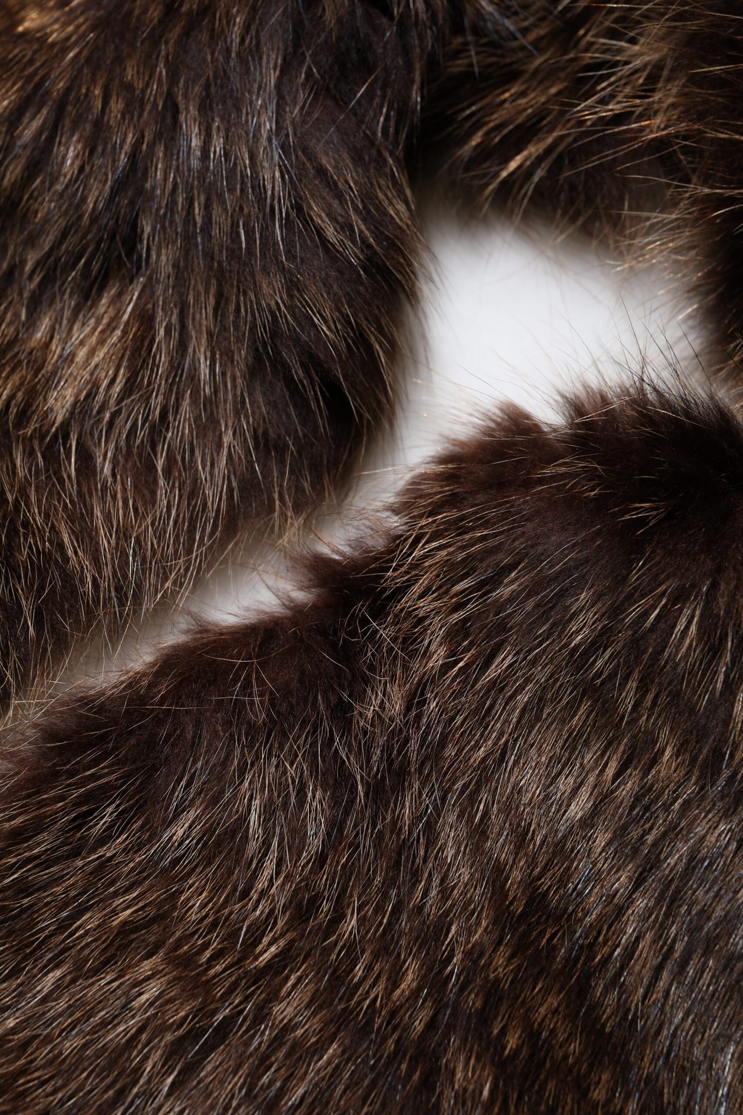 Écharpe d'hiver en fourrure de raton laveur marron Dolce &amp; Gabbana