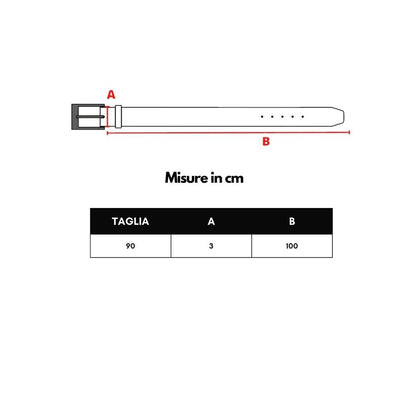 Ceinture en cuir marron Dolce &amp; Gabbana