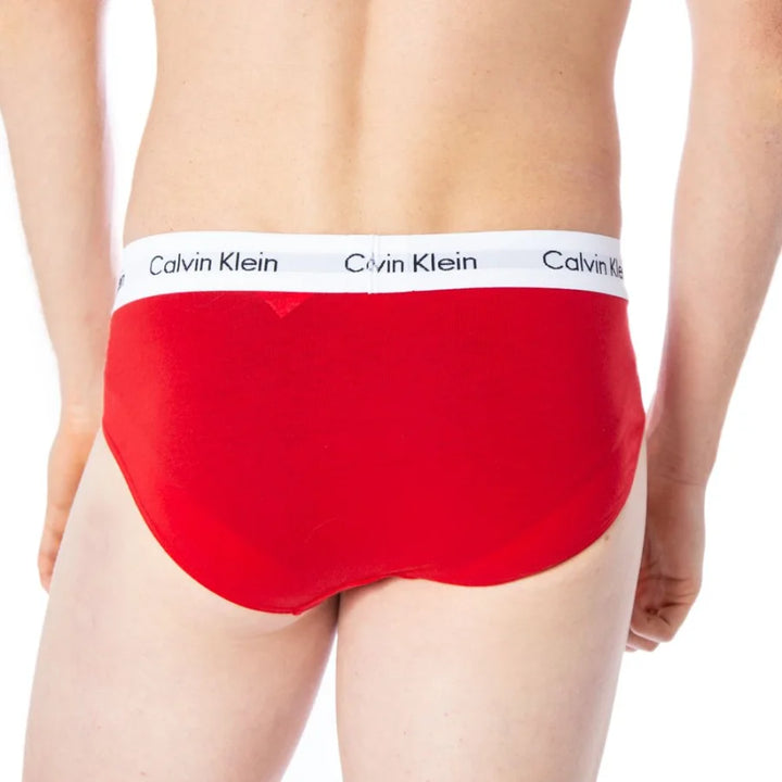 Calvin Klein Underwear Multicolor Cotton Briefs