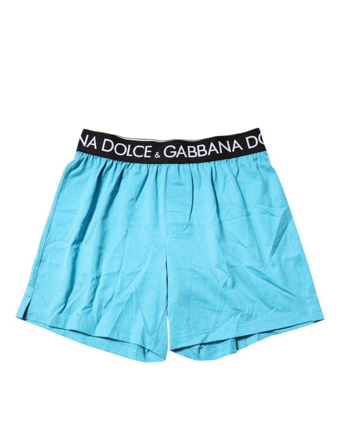Dolce &amp; Gabbana Blue Logo Waist Regular Boxer Shorts Underwear
