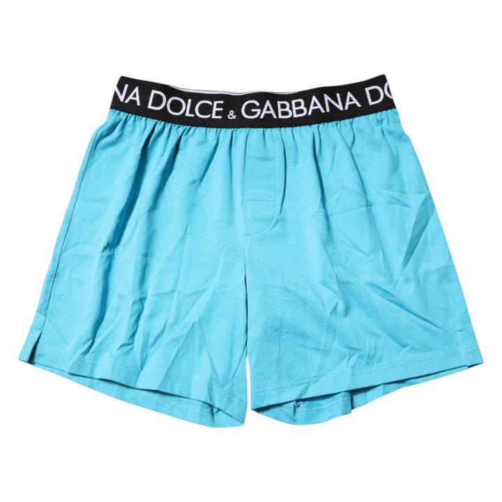 Dolce &amp; Gabbana Blue Logo Waist Regular Boxer Shorts Underwear