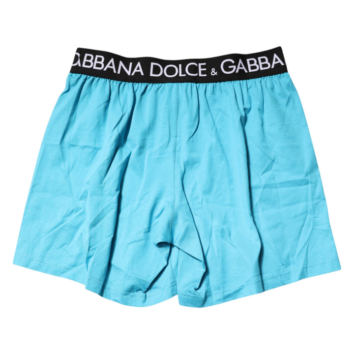 Dolce &amp; Gabbana Blue Logo Waist Regular Boxer Shorts Underwear