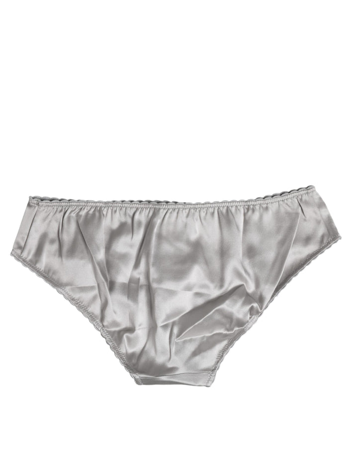 Dolce &amp; Gabbana Gray Silk Stretch Bottom Low Waist Panty Underwear