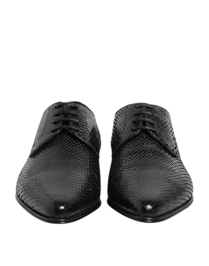 Dolce &amp; Gabbana Black Exotic Leather Lace Up Derby Shoes