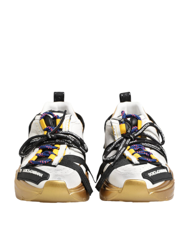 Dolce &amp; Gabbana Multicolor Daymaster Low Top Sneakers Shoes