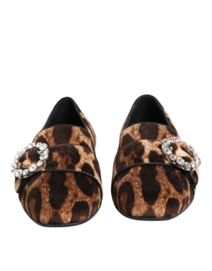 Dolce &amp; Gabbana Brown Leopard Print Crystals Loafers Flats Shoes