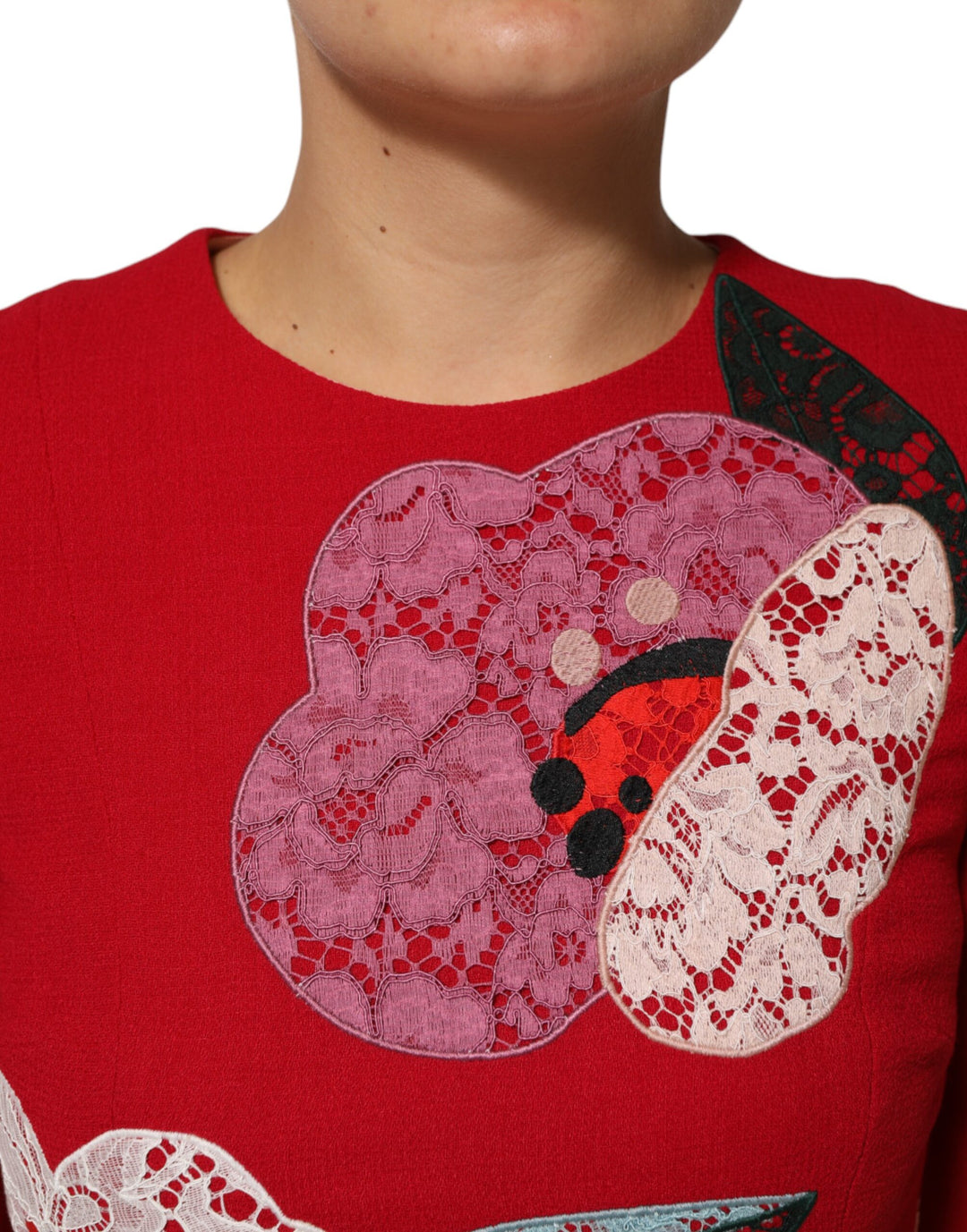Dolce &amp; Gabbana Red Lace Floral Applique A-line Mini Dress