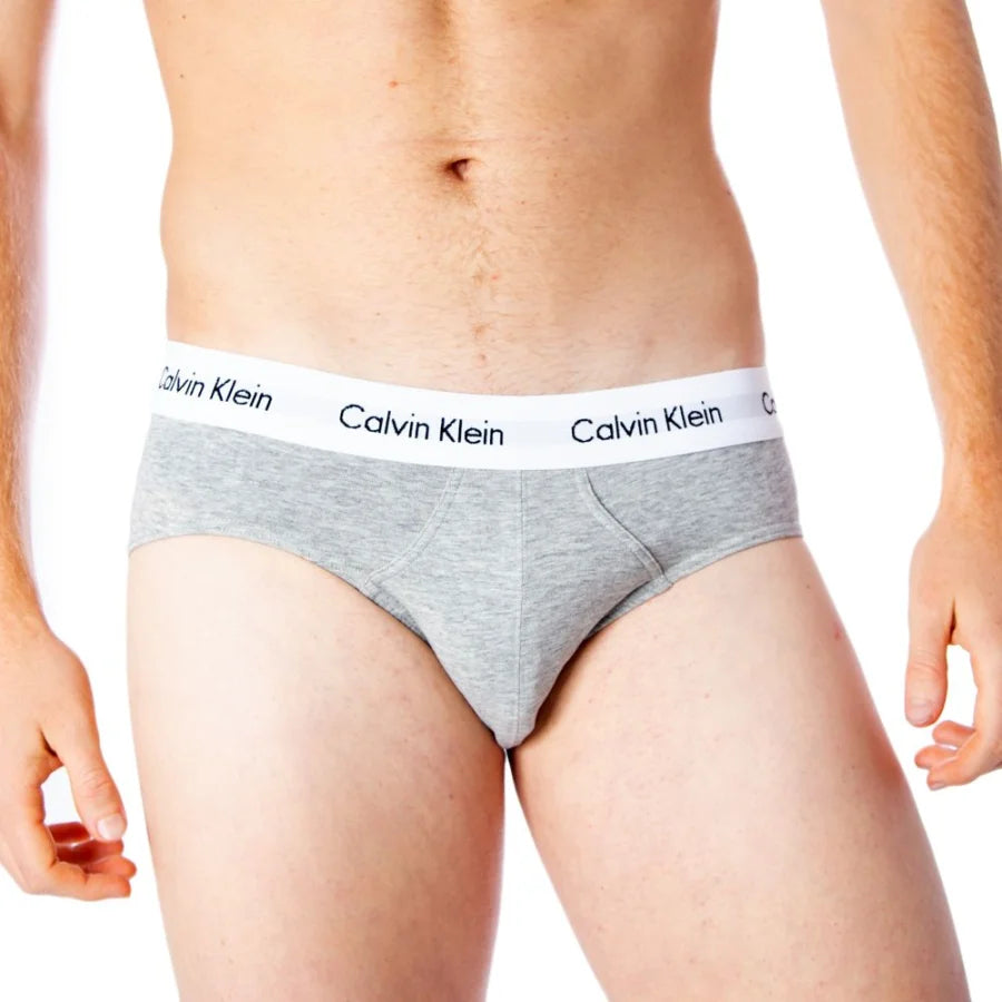 Calvin Klein Underwear Gray Cotton Briefs