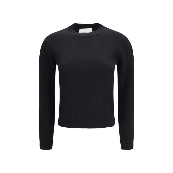 Ami Paris Black Wool Oves Aries Sweatshirt