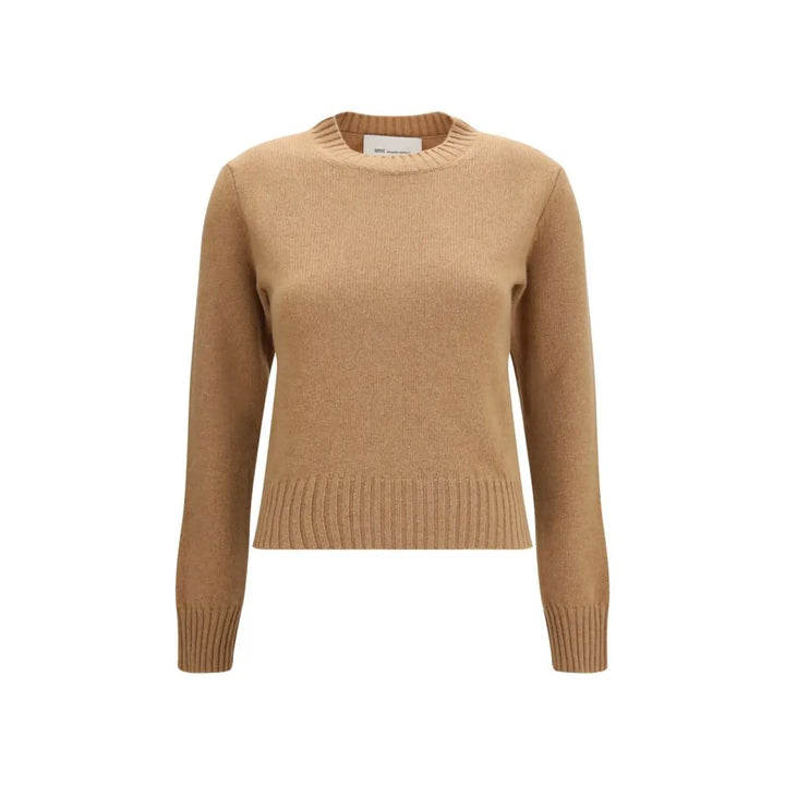 Ami Paris Brown Wool Oves Aries Sweatshirt