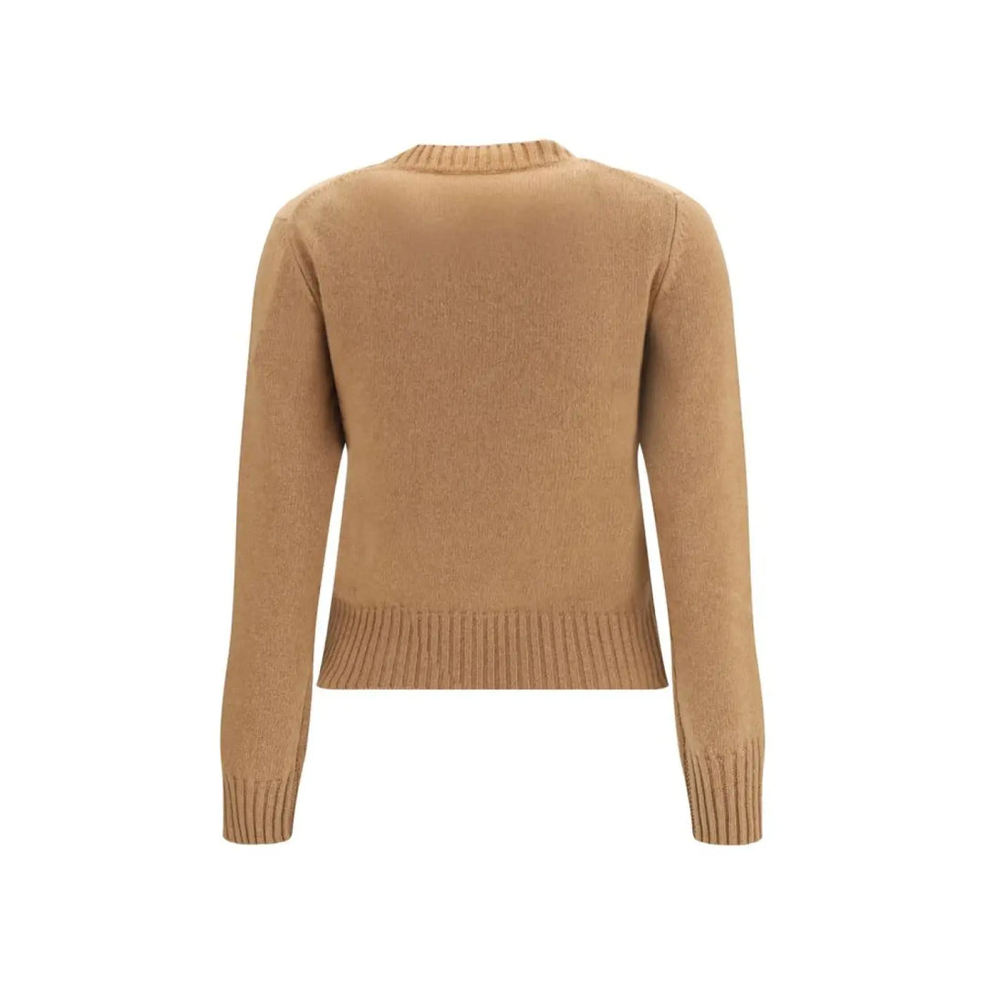 Ami Paris Brown Wool Oves Aries Sweatshirt
